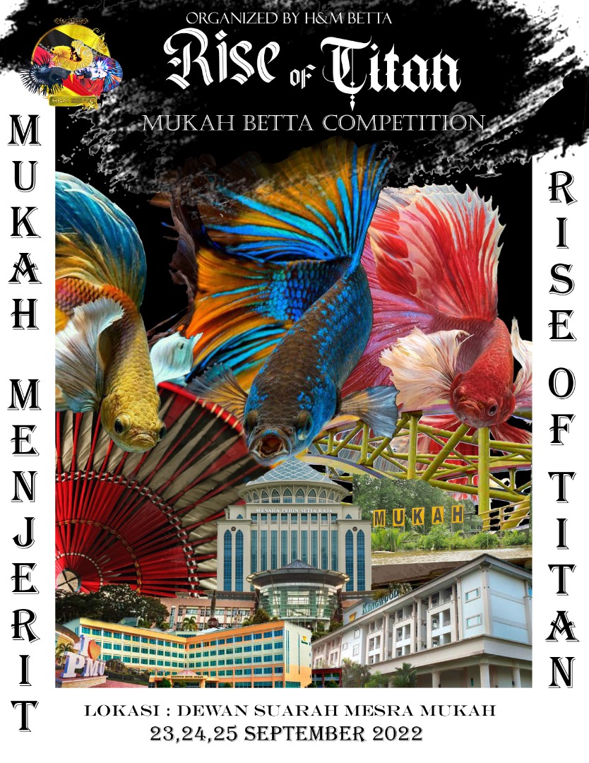 betta